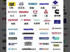 Schalter 20PS981-2H9Z 20PS981-2 31E5-40500 für den Bagger