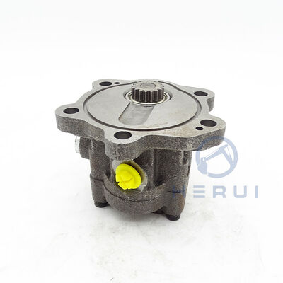Fuel Pump 2930249 293-0249 for Excavator E320D 319D C4.2 C6.6 C6.4
